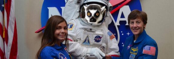 Lemurs would possibly maintain the important thing to human hibernation important for Mars missions